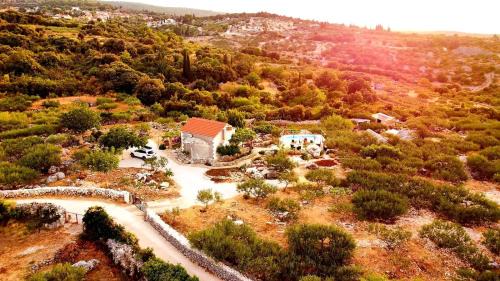 Supetar House | Robinson crusoe style house "MASLINA'