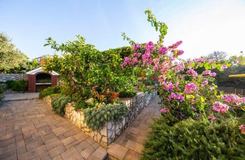 Susica Apartment | Apartmani Branka Murter