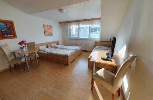 Novo Mesto Hostel | Hostel Novak
