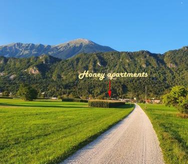 Zirovnica Apartment | Honey apartments