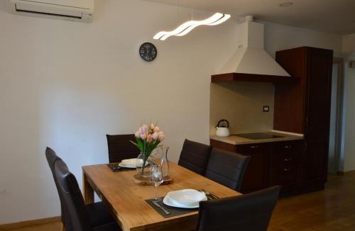 Solkan Apartment | Apartment Kancler