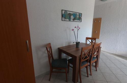 Funtana Apartment | Apartment Viti with garden and barbecue