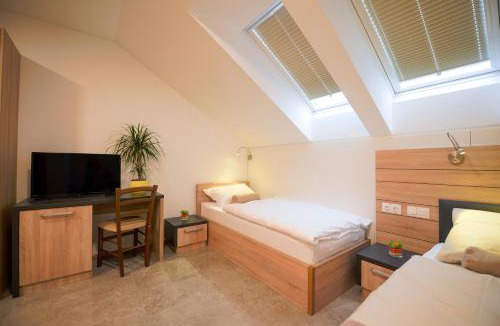 Smlednik Hotel | HOTEL BARON