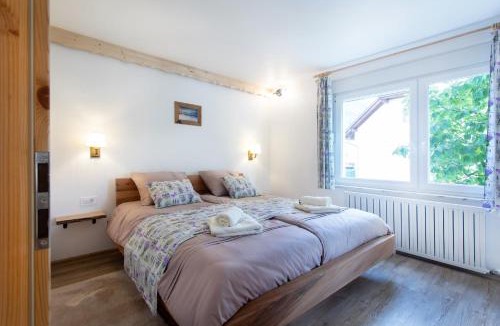 Zirovnica Apartment | Honey apartments