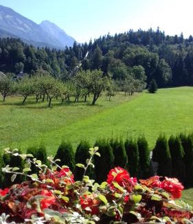 Trzic House | Apartmaji Mojca