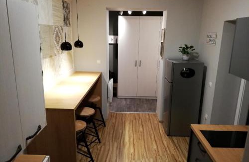 Celje Apartment | Apartment Nobl plac