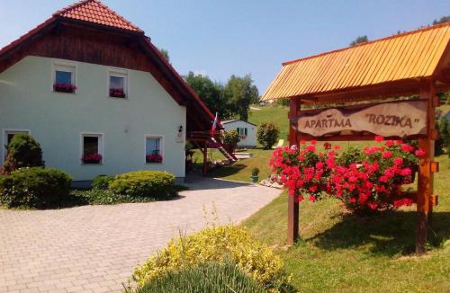Slovenj Gradec Apartment | Apartment Rozika