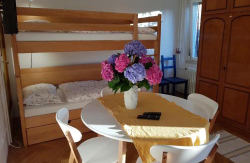 Ljubljana Apartment | Ljubljana's terrace