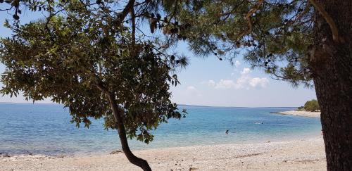 Simuni House | Apartmani Ivanka Simuni