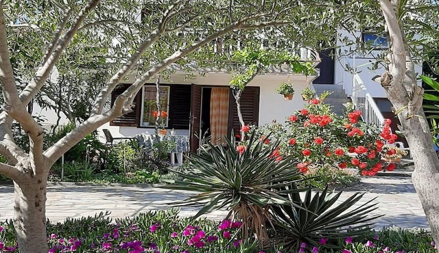 Apartment by the Beach
