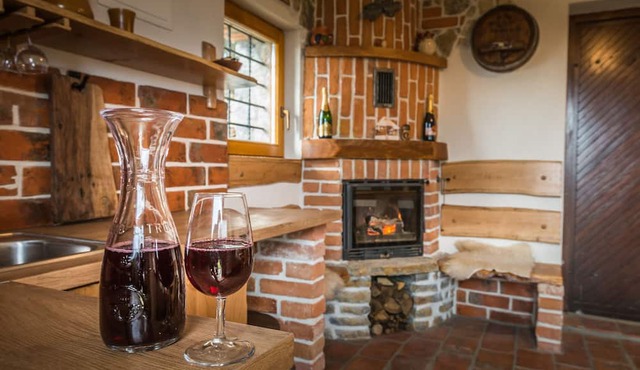 Vineyard cottage Rataj 2 in Novo Mesto