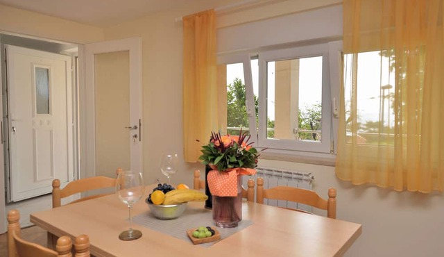 Apartment Visnja