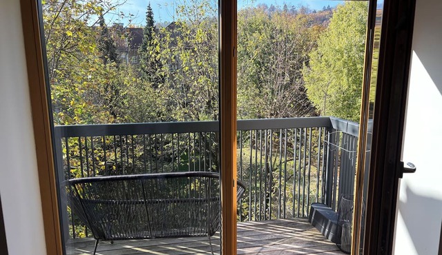 Charming 1-bedroom apartment in Ljubljana with walking distance to city center in Ljubljana