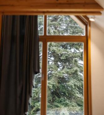 Hiša vaših sanj Eleganca, mir in nepozabne počitnice z vašimi najdražjimi in Bled