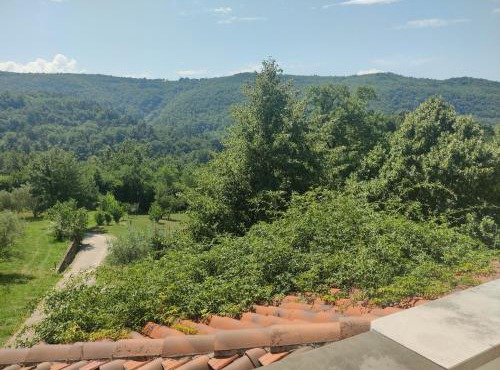 Stone House Apartment, Olive Grove & Valley View, Istria in Šmarje