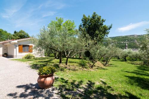Nido Verde Holiday House in Koper