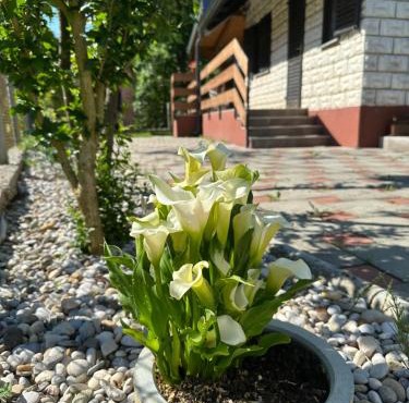 Hižica Kanceljak in Tuheljske Toplice