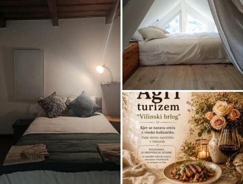 Agriturizem gourmet Italian style VILINSKI BRLOG