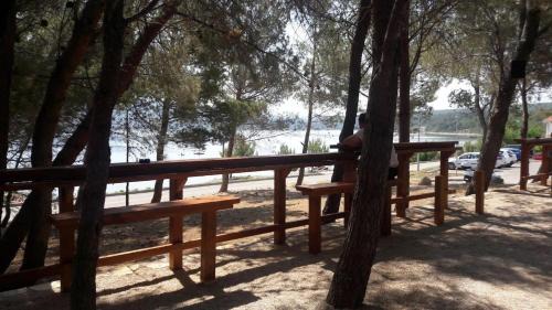 Holiday home Dinko in Pridraga
