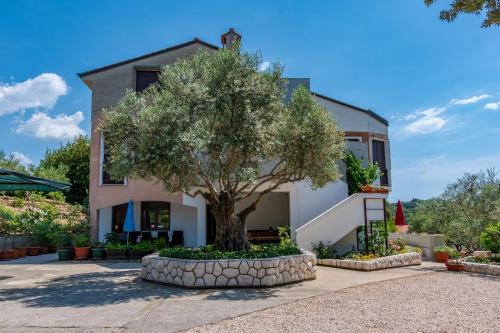 Apartments Villa Ana in Palit