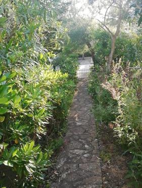 Green Garden