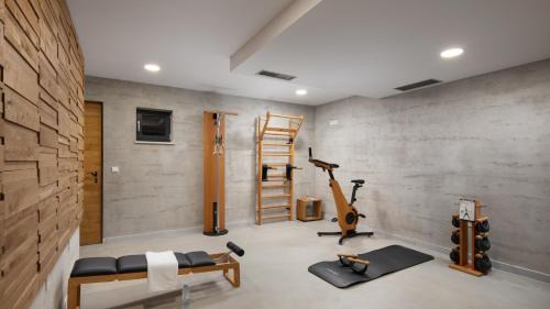 Luxury villa Valens with wellness in Tinjan