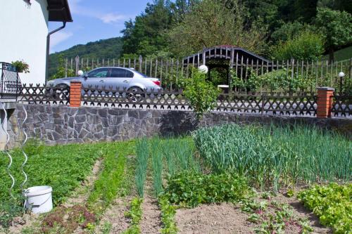 Tourist farm Mraz
