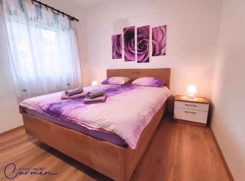 Apartment Carmen in Soline