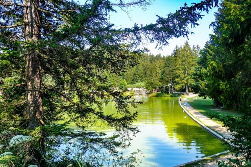 Forest Princess Chalet near Lake Bloke - Happy Rentals