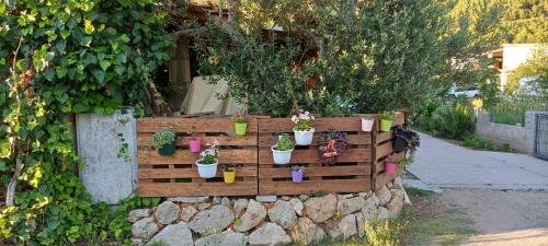 Apartmani Maslina Žuljana