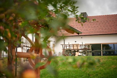 VINEA PANONIKA wine & mind retreat in Radenci