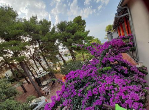 HOUSE-APARTMENTS ELA -MIRCA- FAMILY HOLIDAY in Mirce