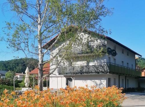 Apartments & rooms Saša