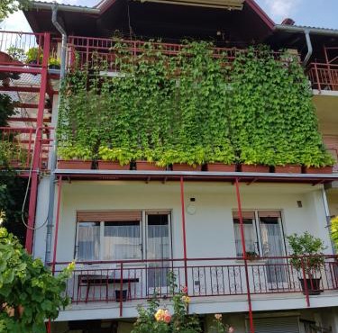 Ljubljana's terrace