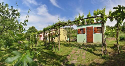 Glamping & Camping Green Istria