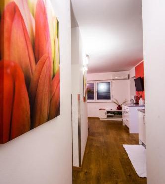 Apartments & Wellness Skok