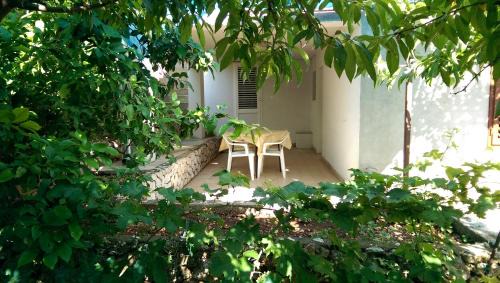 Apartmani Sandro in Ivan Dolac